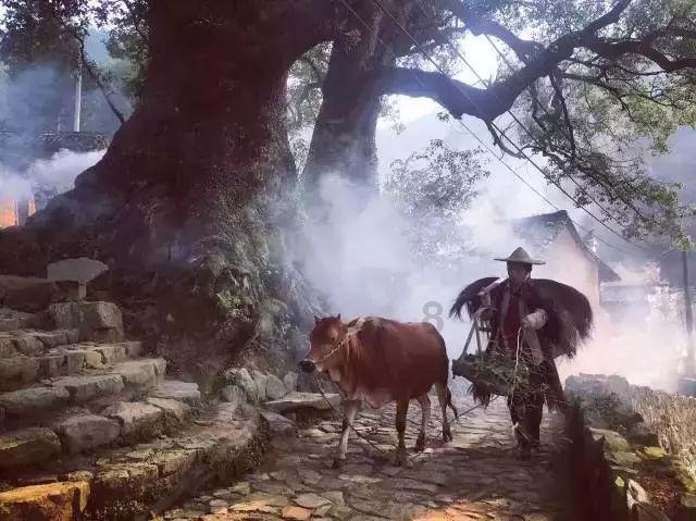 尽量不要向下择偶哦～游戏画面