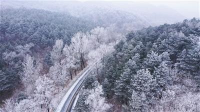 白色情人节：校园迷宫